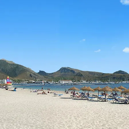 Owl San Francisco - Exclusive Vacations Puerto Pollensa
